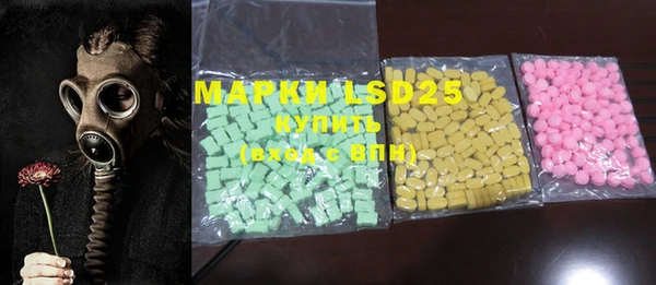 ECSTASY Алзамай