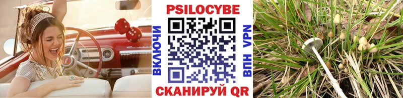 ОМГ ОМГ маркетплейс  Лаишево  Псилоцибиновые грибы мицелий 